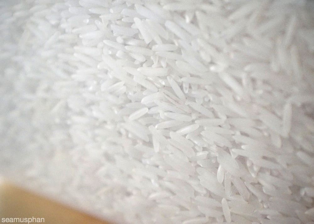 Polished white rice grains