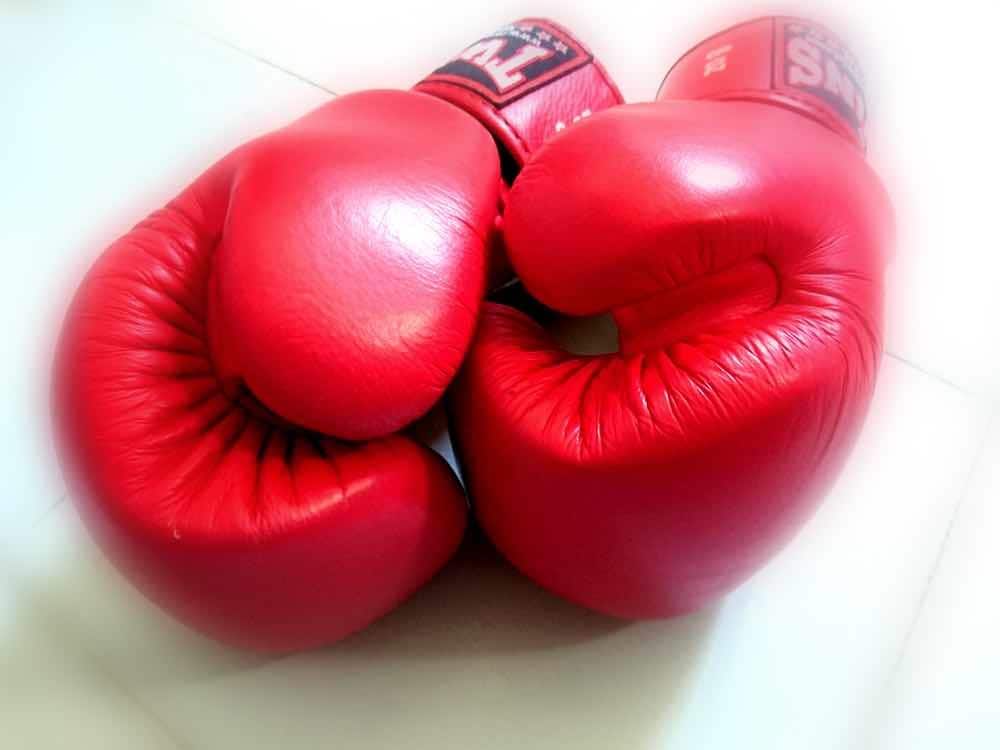 Red Team (muay thai gloves) - consulting