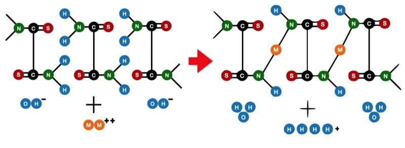 biochem chart